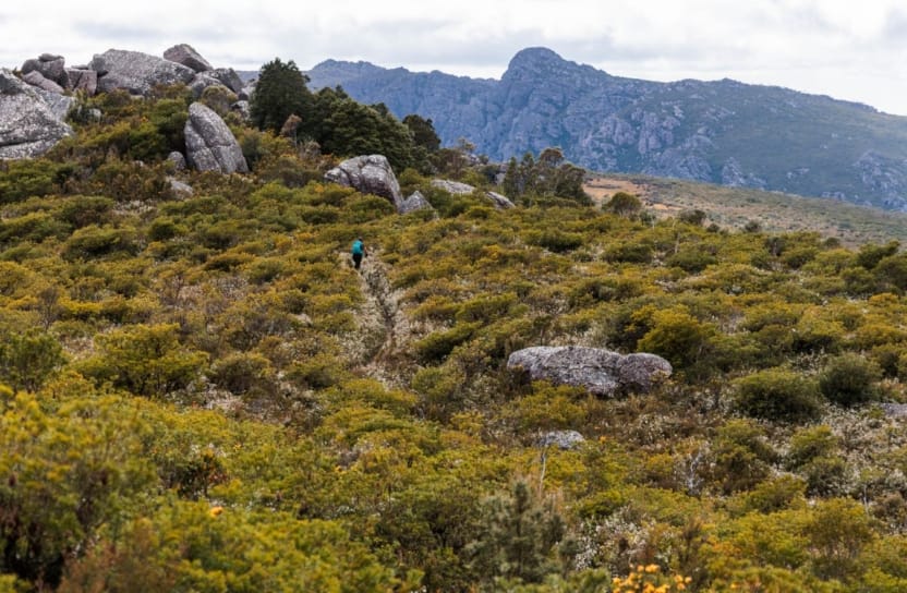 Triple Top Mountain Run