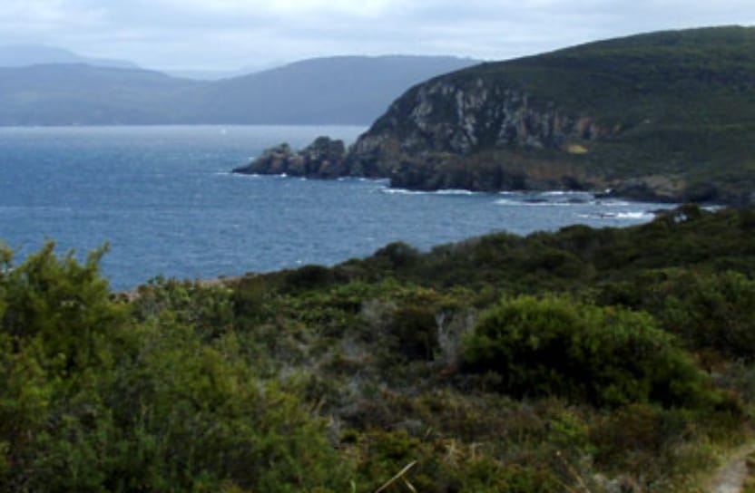 Labilladiere Peninsula Trail Run