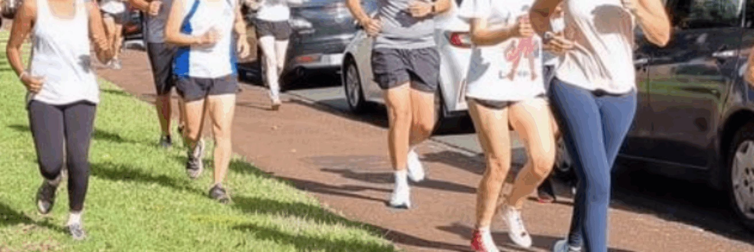 Auckland Joggers Club