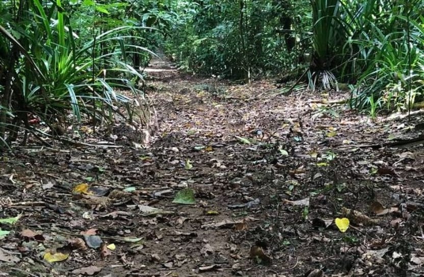 Christmas Island Marathon